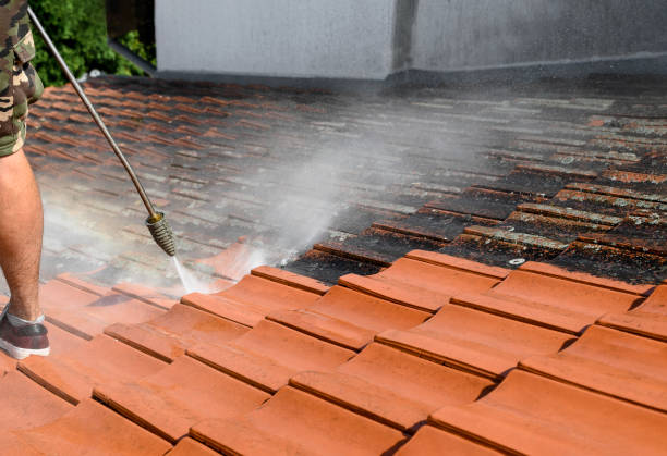 Best Residential Pressure Washing Services  in Brackettville, TX
